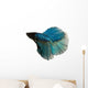 Blue Siamese Fighting Fish