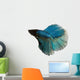 Blue Siamese Fighting Fish Wall Decal