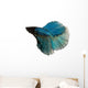 Blue Siamese Fighting Fish