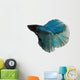 Blue Siamese Fighting Fish Wall Decal