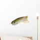 Silver Arowana Wall Decal