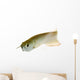 Silver Arowana Wall Decal