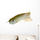 Silver Arowana Wall Decal