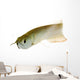 Silver Arowana Wall Decal