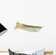 Silver Arowana Wall Decal