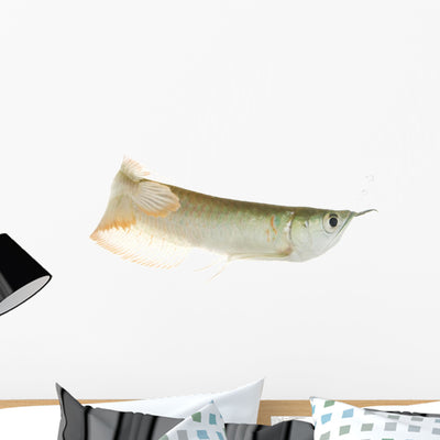 Silver Arowana Wall Decal shown on a wall