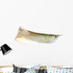 Silver Arowana Wall Decal