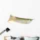 Silver Arowana Wall Decal