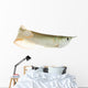 Silver Arowana Wall Decal
