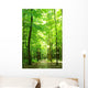 Green Forest Wall Mural