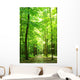 Green Forest Wall Mural