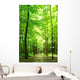 Green Forest Wall Mural