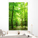 Green Forest Wall Mural