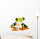 Red-Eyed Tree Frog Agalychnis Callidryas Wall Decal