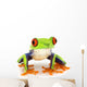 Red-Eyed Tree Frog Agalychnis Callidryas Wall Decal