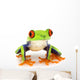Red-Eyed Tree Frog Agalychnis Callidryas Wall Decal