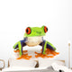 Red-Eyed Tree Frog Agalychnis Callidryas Wall Decal