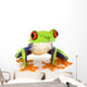 Red-Eyed Tree Frog Agalychnis Callidryas Wall Decal