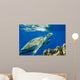 Loggerhead Sea Turtle Caretta Wall Decal