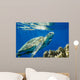 Loggerhead Sea Turtle Caretta Wall Decal