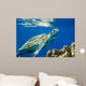 Loggerhead Sea Turtle Caretta Wall Decal