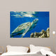 Loggerhead Sea Turtle Caretta Wall Decal