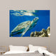 Loggerhead Sea Turtle Caretta Wall Decal