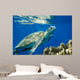 Loggerhead Sea Turtle Caretta Wall Decal