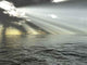 Rays Light and Ocean Wall Decal