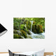 Forest Wall Mural