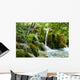 Forest Wall Mural