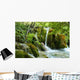 Forest Wall Mural