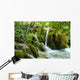 Forest Wall Mural