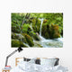 Forest Wall Mural