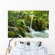 Forest Wall Mural
