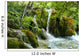Forest Wall Mural