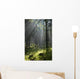 Coniferous forest in Landscape Reserve of Bialowieza Forest Wall Mural