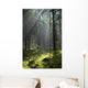 Coniferous forest in Landscape Reserve of Bialowieza Forest Wall Mural
