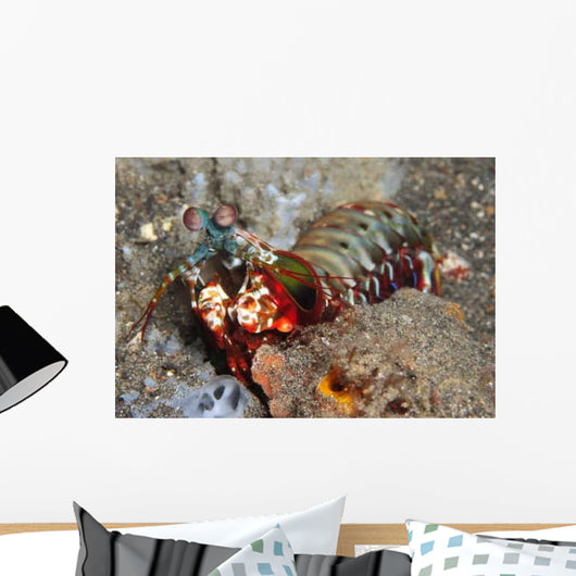 Mantis Shrimp Wall Decal