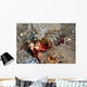 Mantis Shrimp Wall Decal