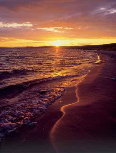 Sunset Golden Wall Decal
