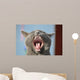 Cat's mouth Wall Mural