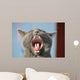 Cat's mouth Wall Mural