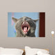 Cat's mouth Wall Mural