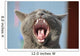 Cat's mouth Wall Mural