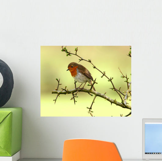 Robin Redbreast Wall Decal