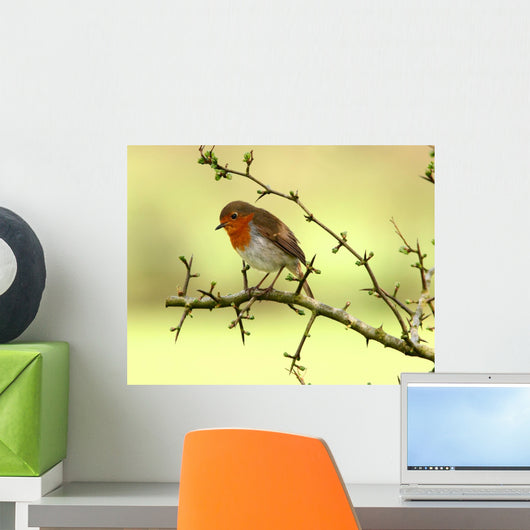 Robin Redbreast Wall Decal