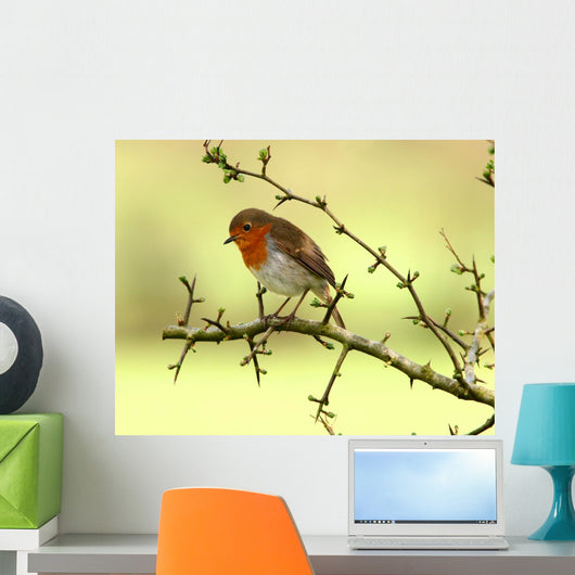 Robin Redbreast Wall Decal
