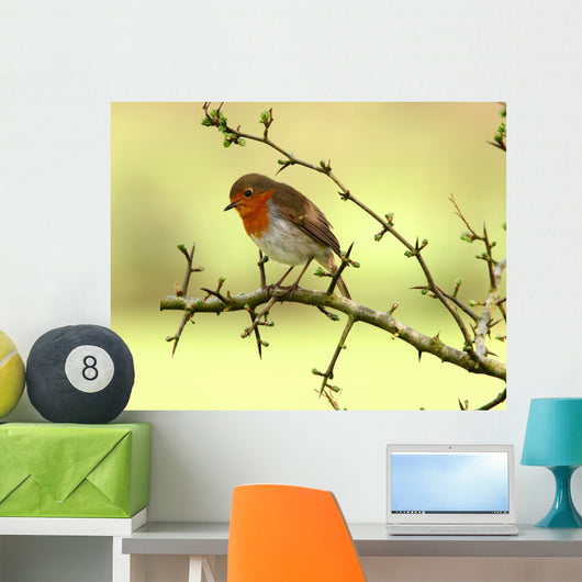 Robin Redbreast Wall Decal