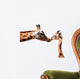 Clipping giraffe and baby giraffe Wall Decal